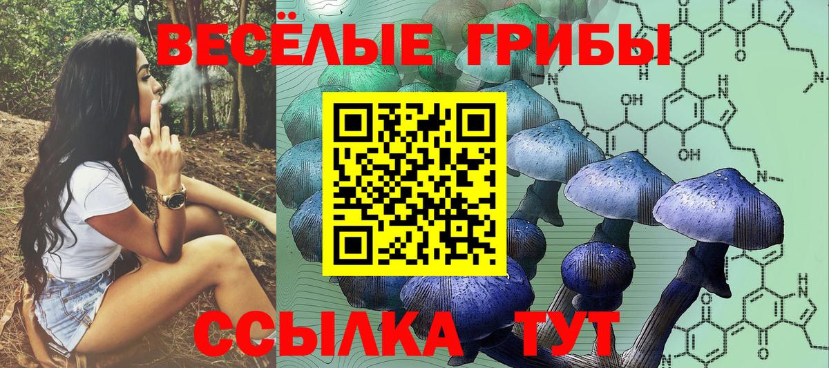 Псилоцибиновые грибы мухоморы Губкинский